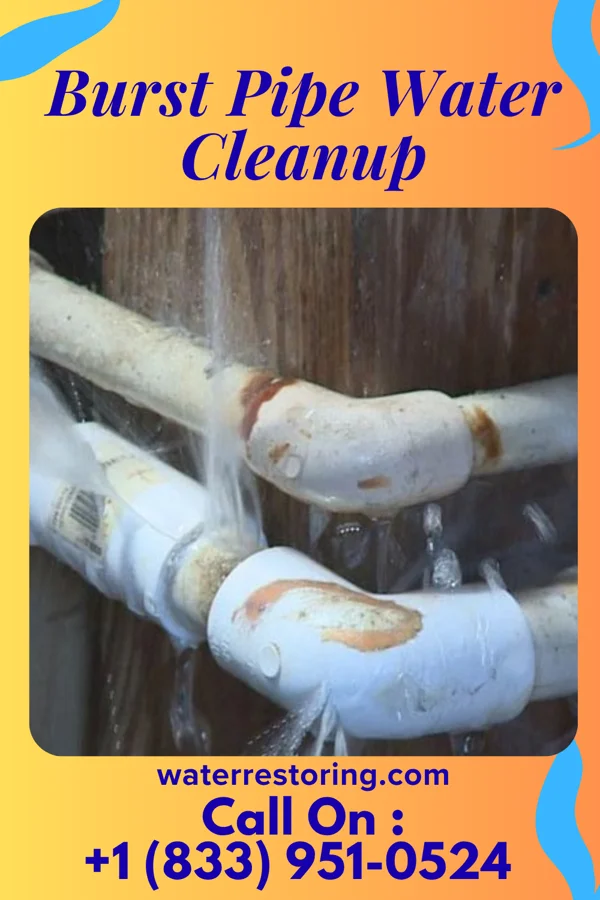 Burst Pipe Water Cleanup in Downs, KS
