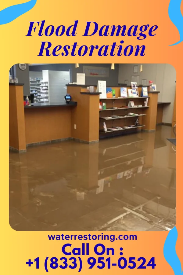 Flood Damage Restoration in Downs, KS