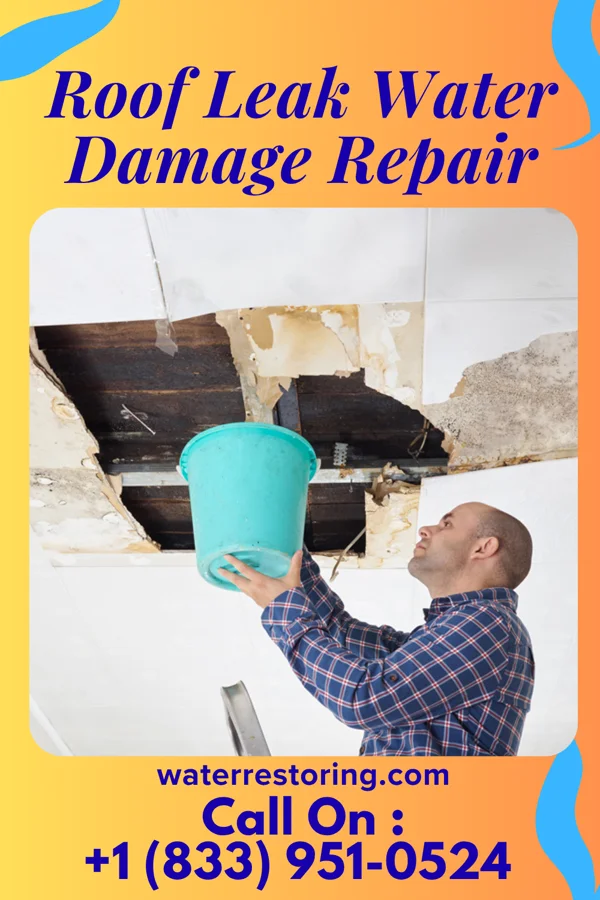 Roof Leak Water Damage Repair in Downs, KS
