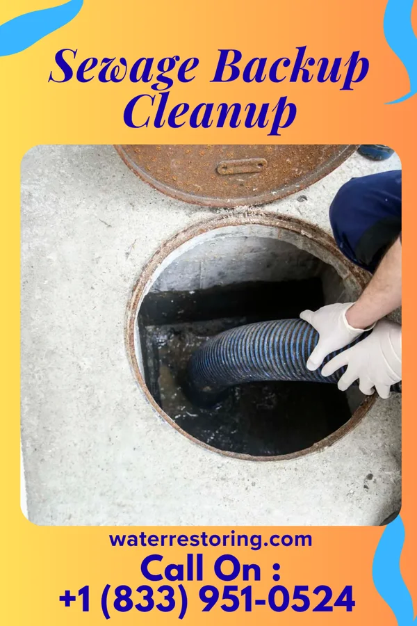 Sewage Backup Cleanup in Downs, KS
